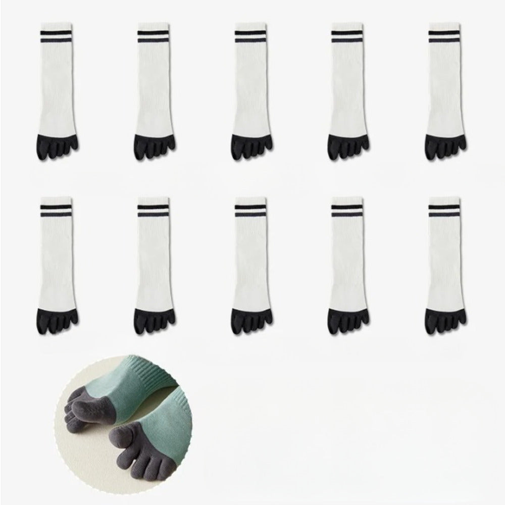 Chaussettes 100% coton homme