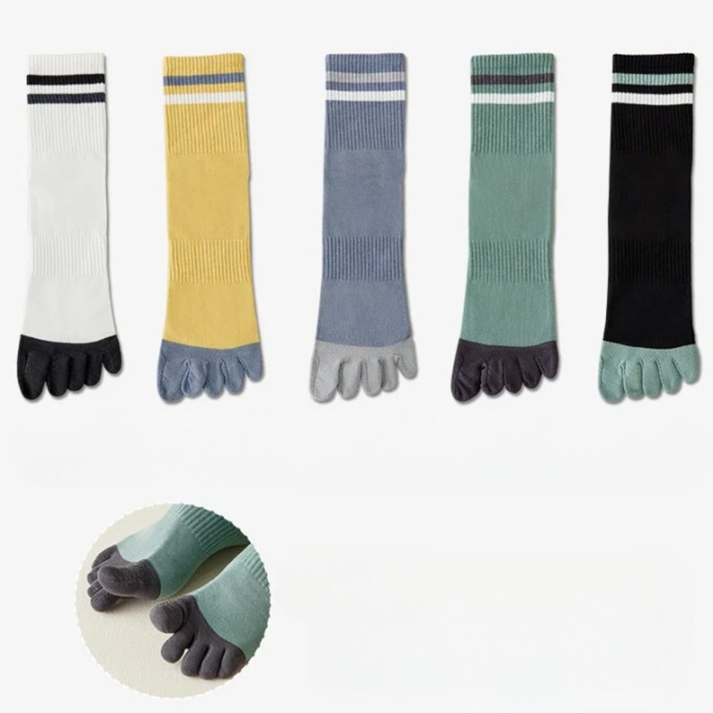 Chaussettes 100% coton homme