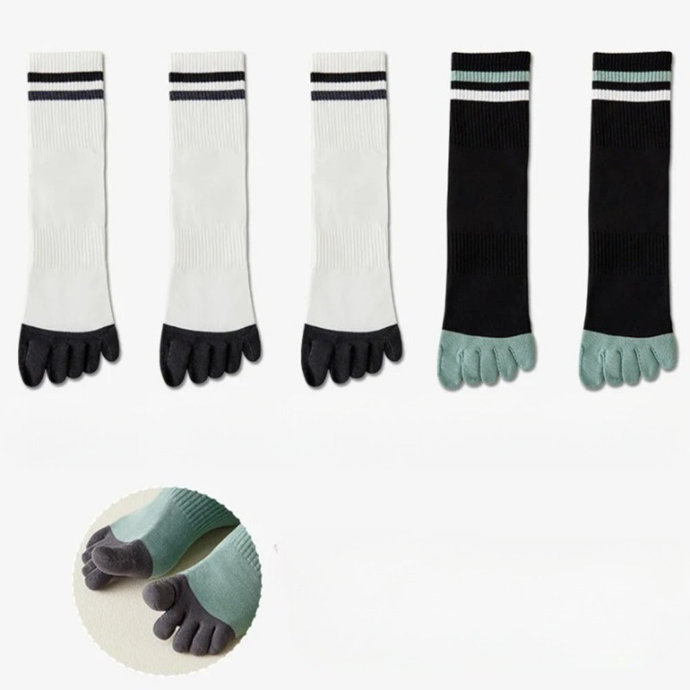 Chaussettes 100% coton homme