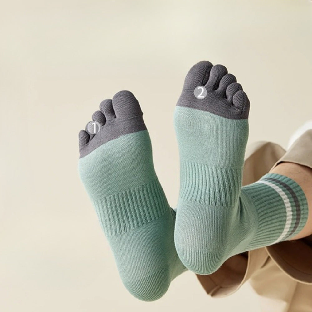 Chaussettes 100% coton homme
