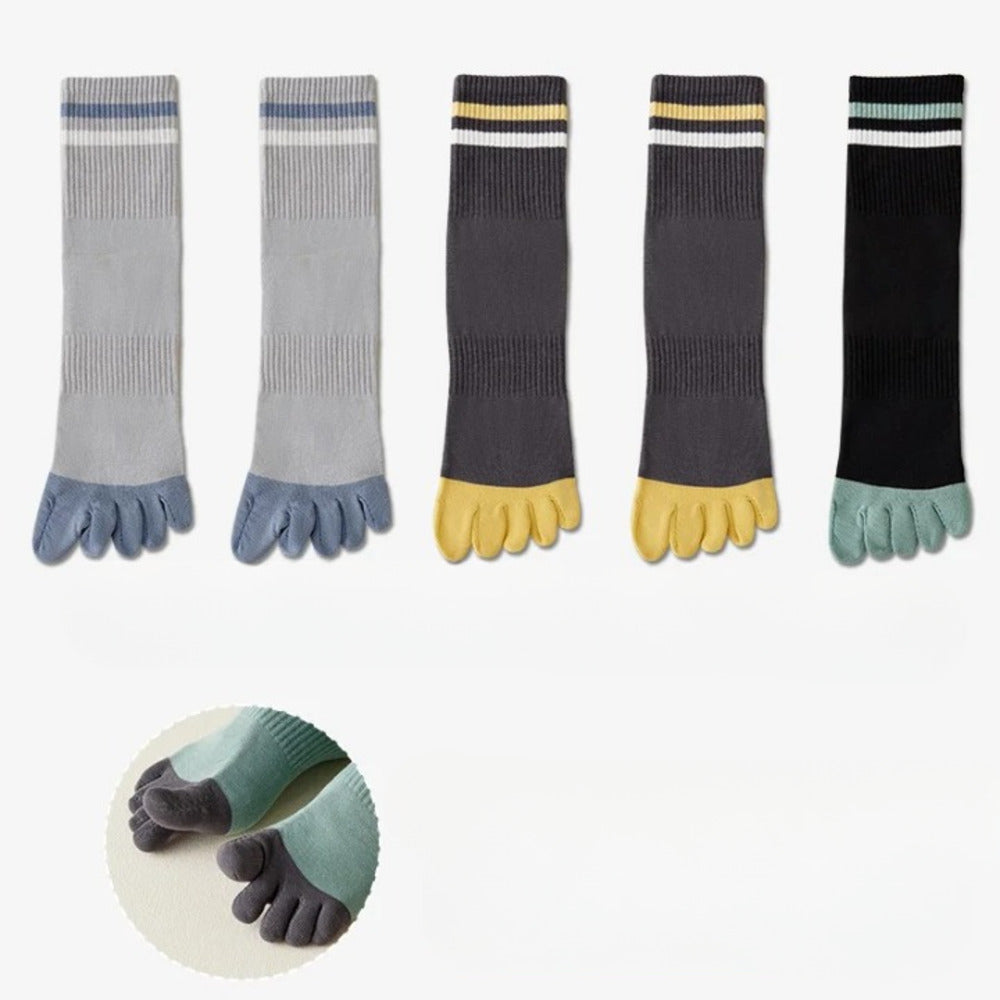 Chaussettes 100% coton homme