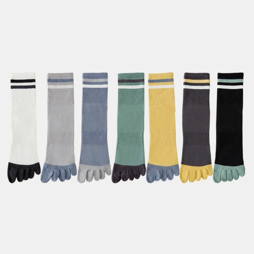 Chaussettes 100% coton homme