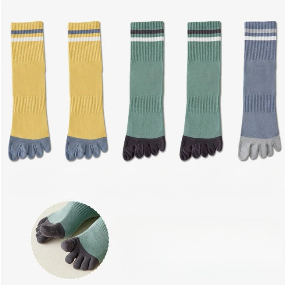 Chaussettes 100% coton homme